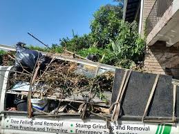 Best Dumpster Rental Services  in Wakeman, OH